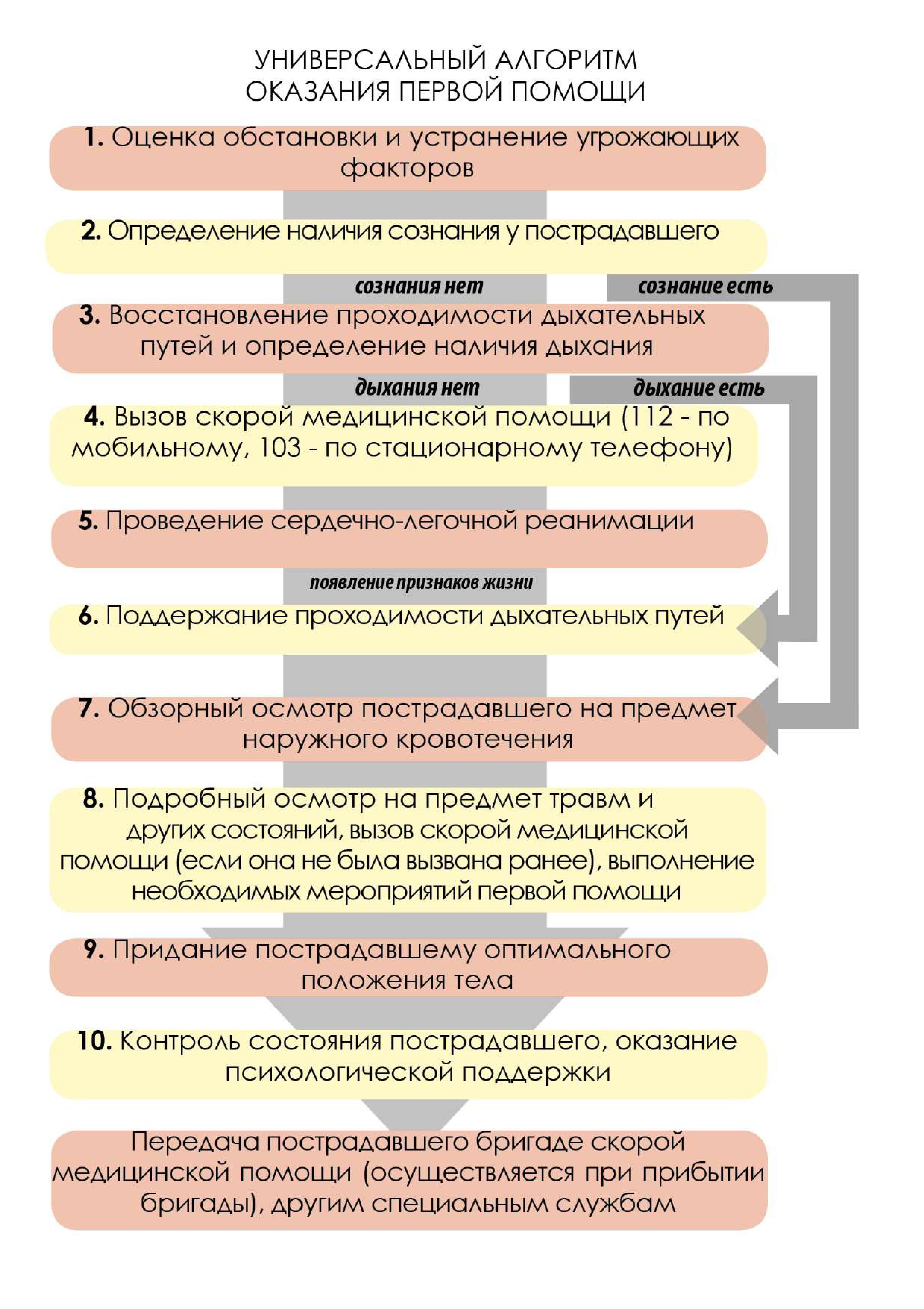 Методические рекомендации по оказанию первой помощи - Государственное  бюджетное профессиональное образовательное учреждение 